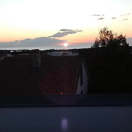 Palma Tar-Vabriga