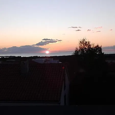 Palma * Tar-Vabriga