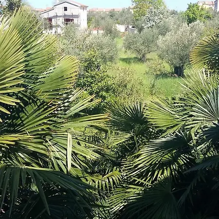 Palma Apartment Tar-Vabriga