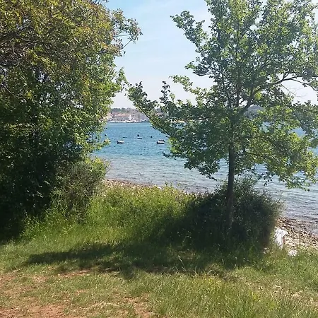 Palma * Tar-Vabriga