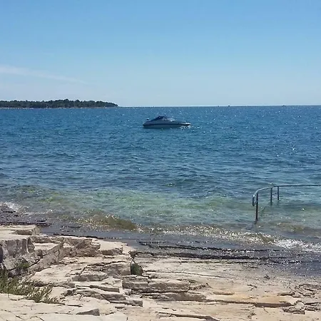 Palma *